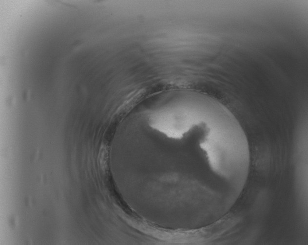 X0000077380036200610271957