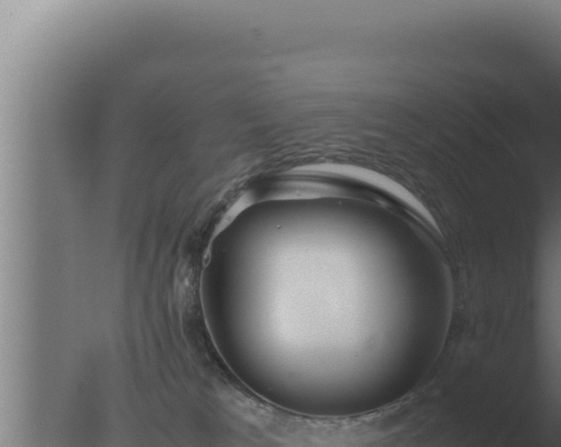 X0000077380037200610271957