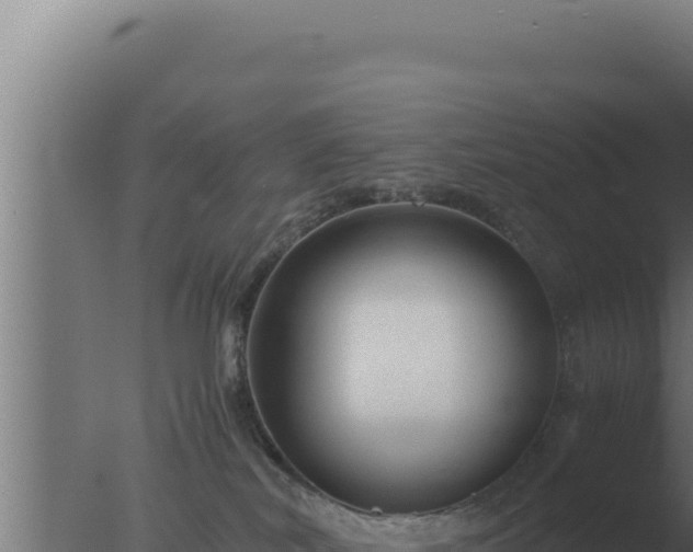 X0000077380038200610271957