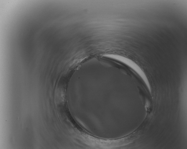 X0000077380039200610271957