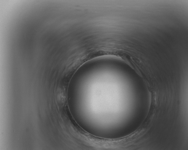 X0000077380040200610271957