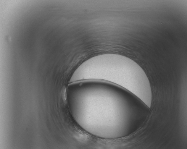 X0000077380041200610271957