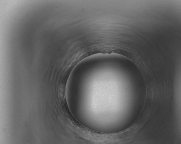 X0000077380044200610271957