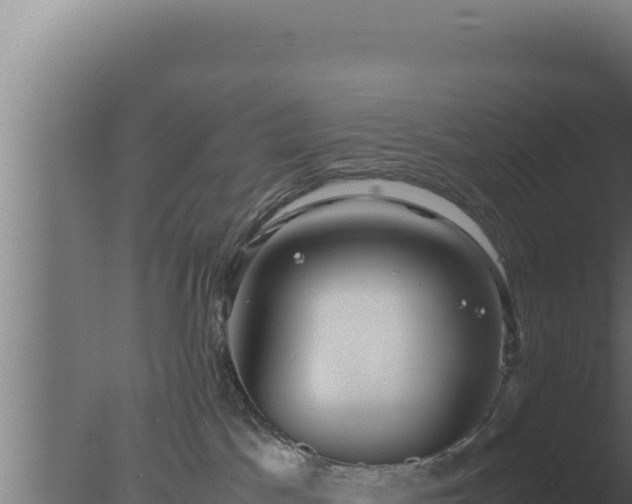 X0000077380045200610271957