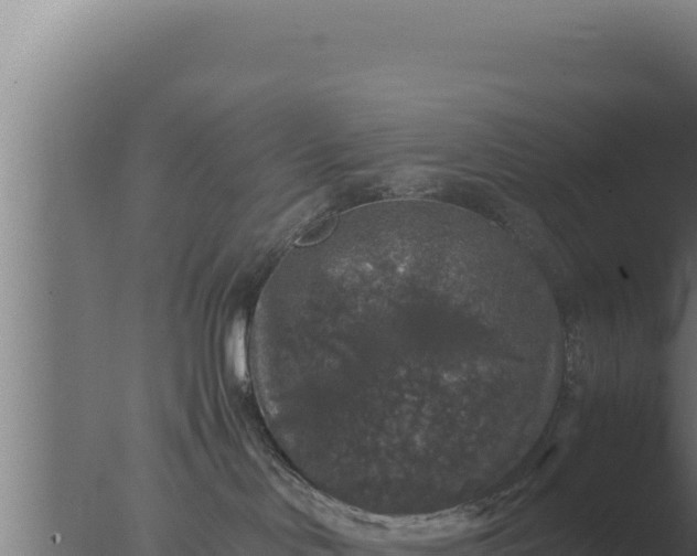 X0000077380046200610271957