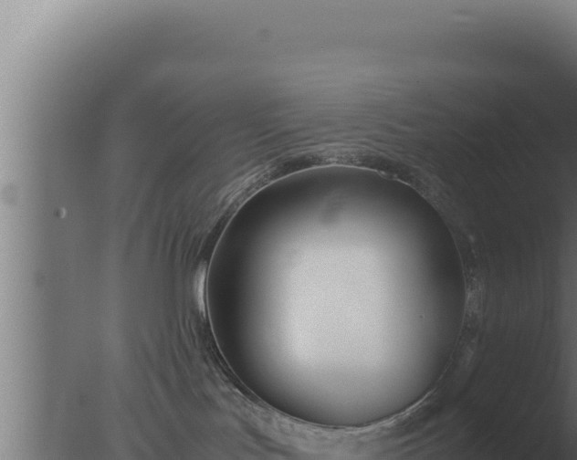 X0000077380047200610271957