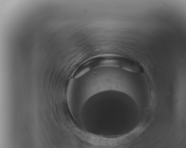 X0000077380048200610271957