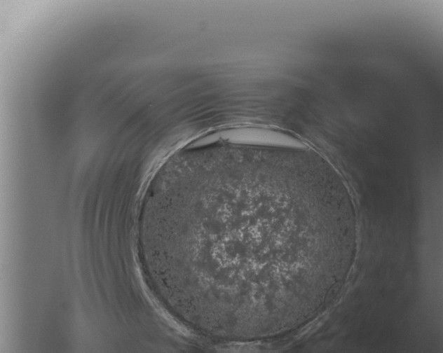 X0000077380049200610271956