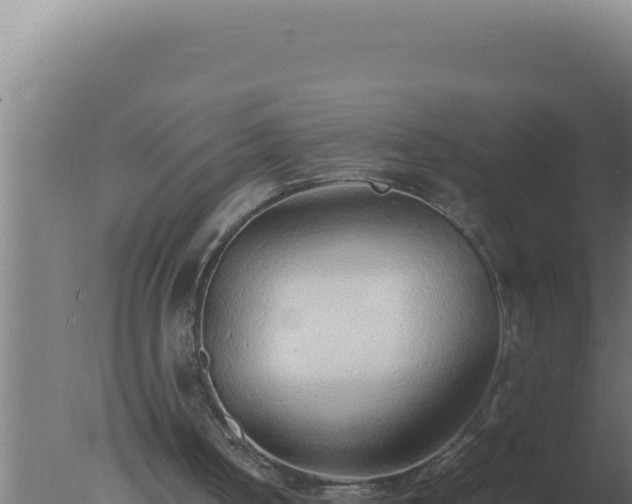 X0000077380050200610271956