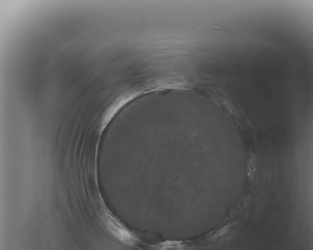 X0000077380052200610271956