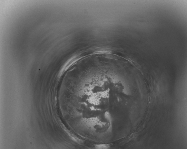 X0000077380053200610271956