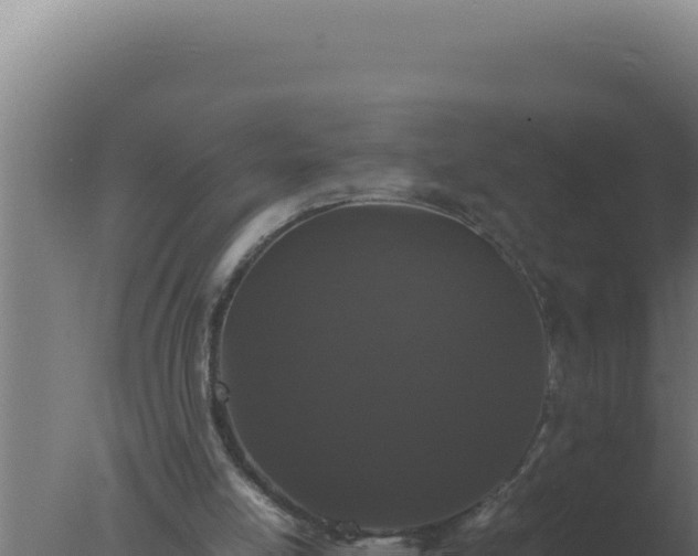 X0000077380054200610271956