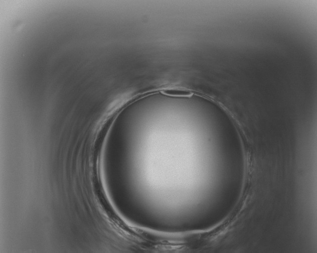 X0000077380055200610271956