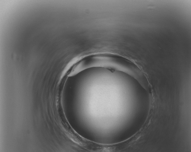 X0000077380056200610271956