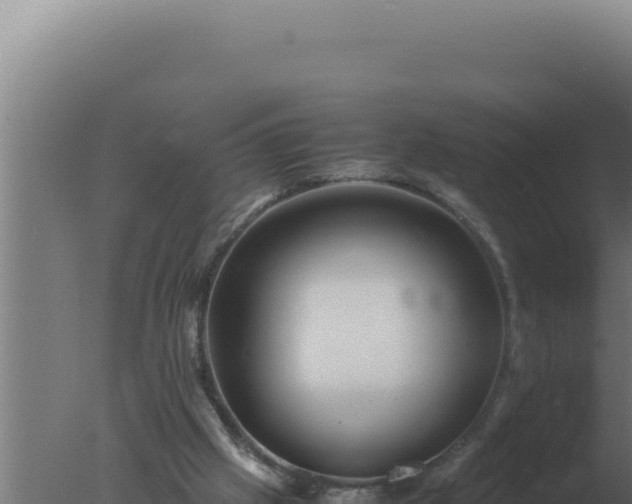 X0000077380057200610271957