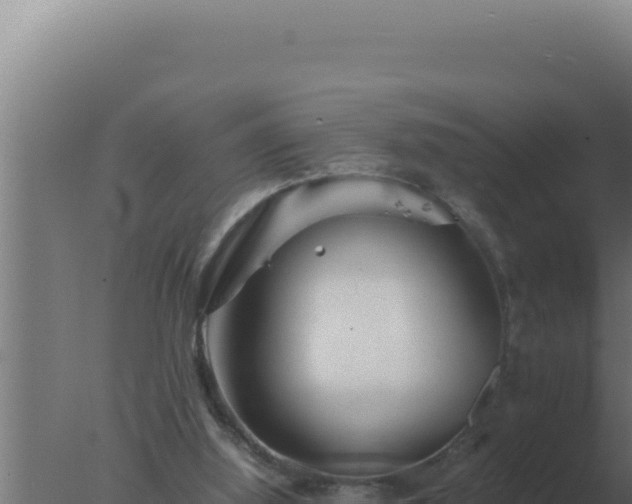 X0000077380060200610271957