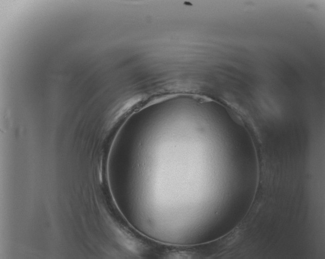 X0000077380062200610271957