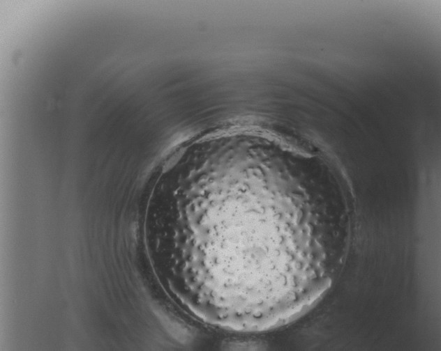 X0000077380063200610271957