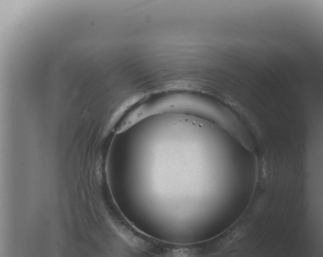 X0000077380064200610271957