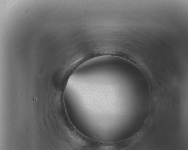 X0000077380066200610271957