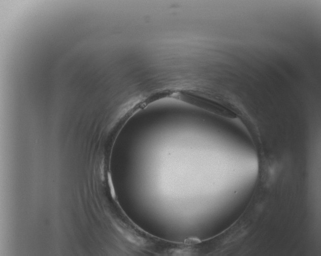 X0000077380068200610271957