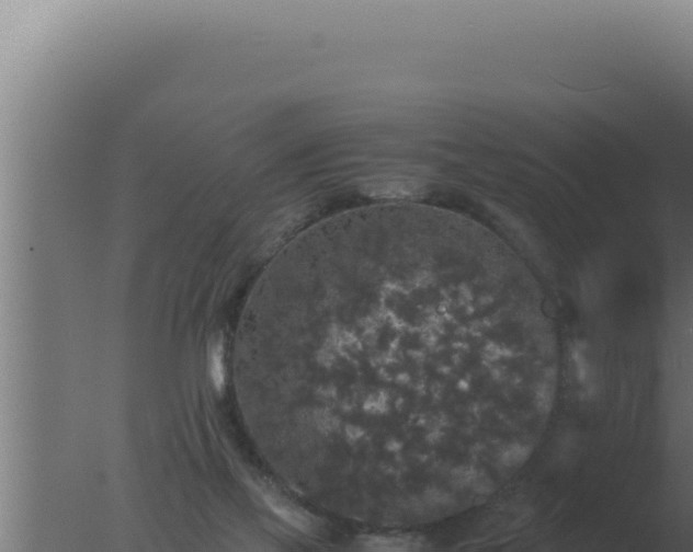 X0000077380069200610271957