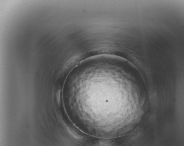 X0000077380070200610271957