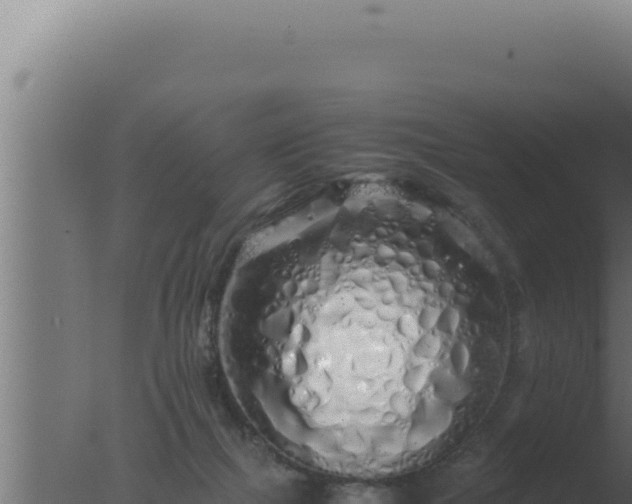 X0000077380073200610271957