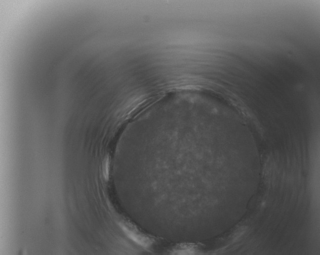 X0000077380076200610271957