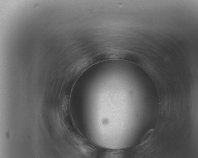 X0000077380078200610271957