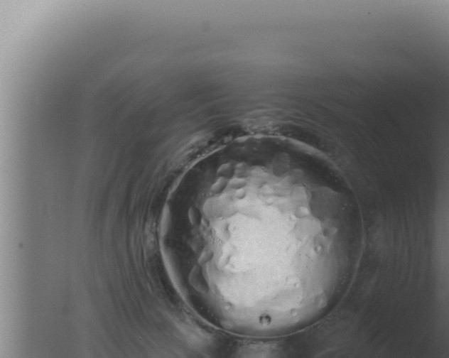 X0000077380081200610271957