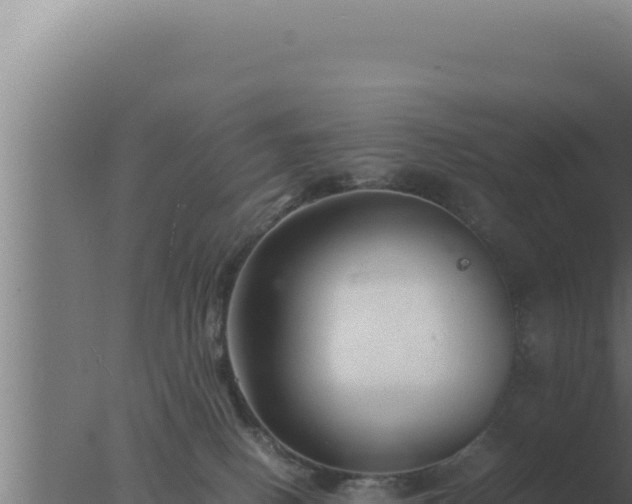 X0000077380082200610271957