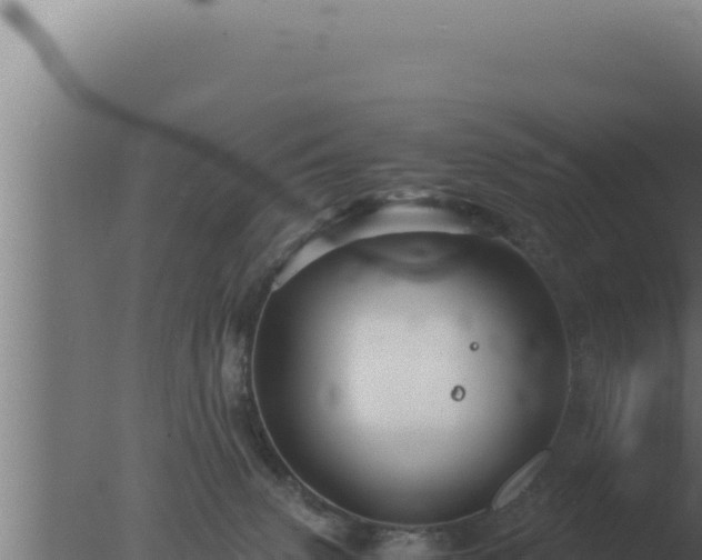 X0000077380083200610271957