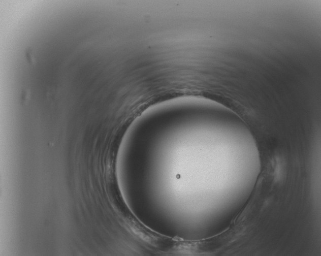 X0000077380084200610271957