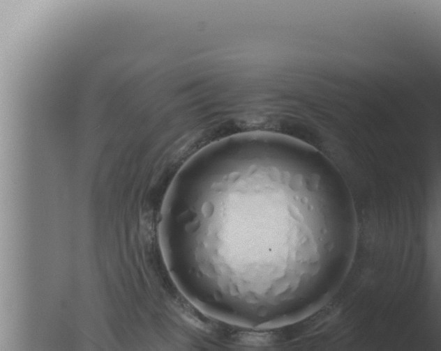 X0000077380085200610271957