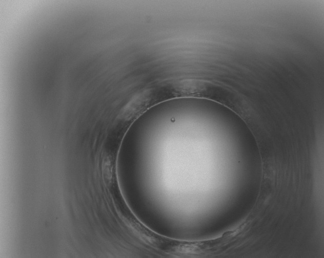 X0000077380086200610271957