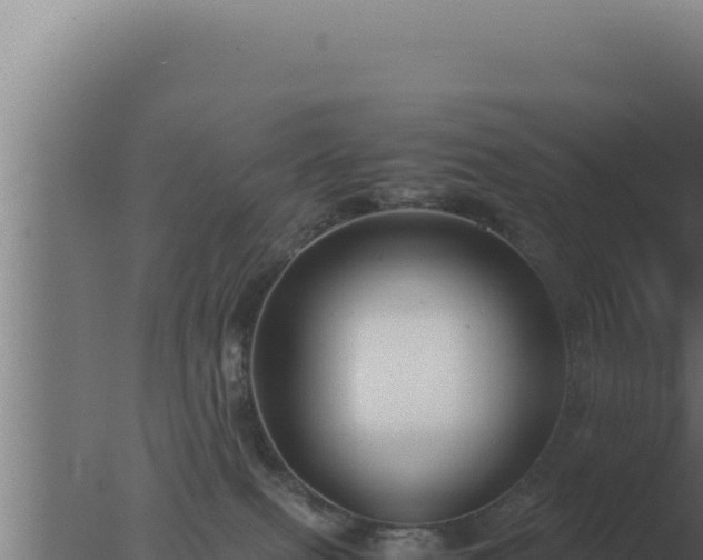 X0000077380087200610271957