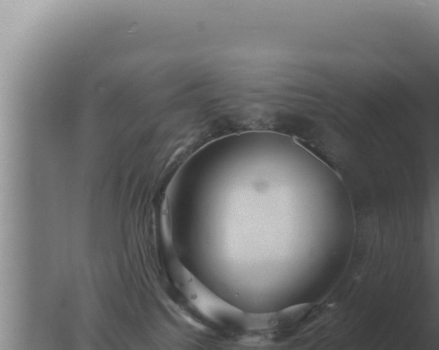 X0000077380088200610271957