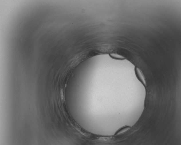 X0000077380089200610271957