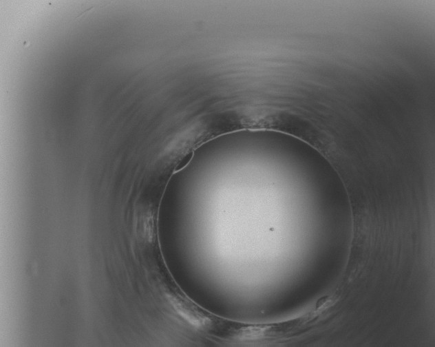 X0000077380090200610271957