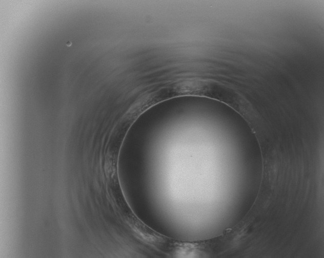 X0000077380091200610271957