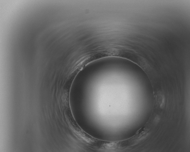 X0000077380092200610271957