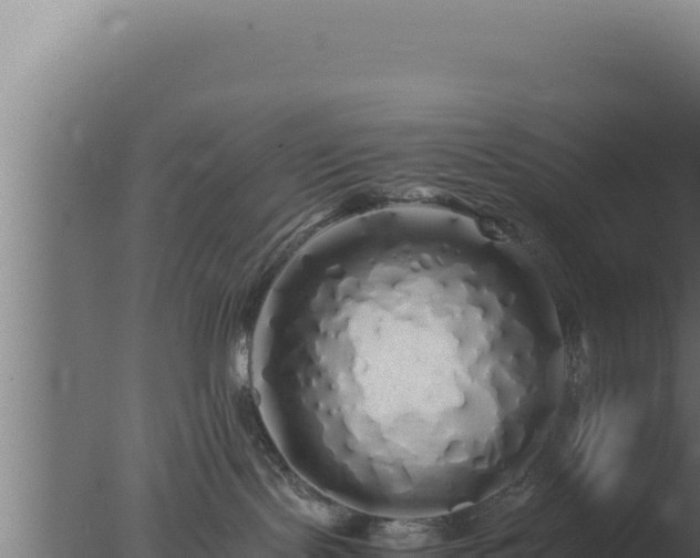 X0000077380095200610271957