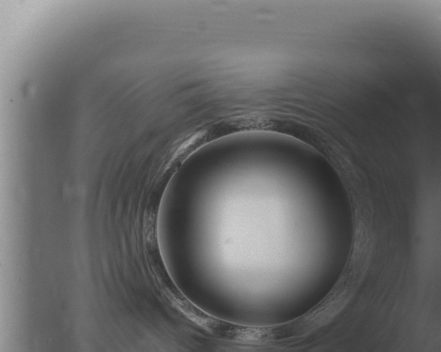 X0000077380096200610271957