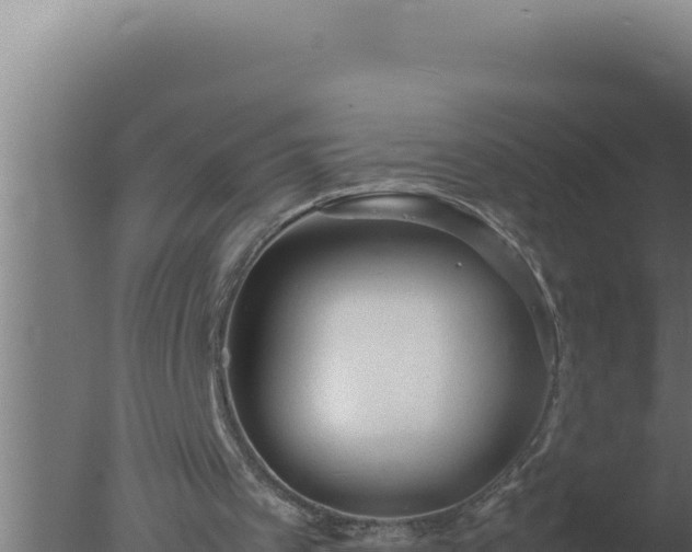 X0000077380097200610271956