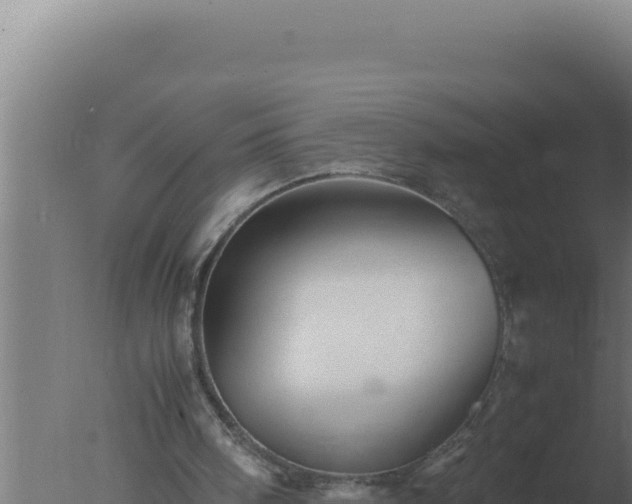 X0000077380098200610271956