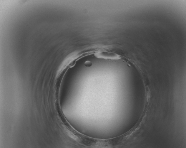 X0000077380101200610271956