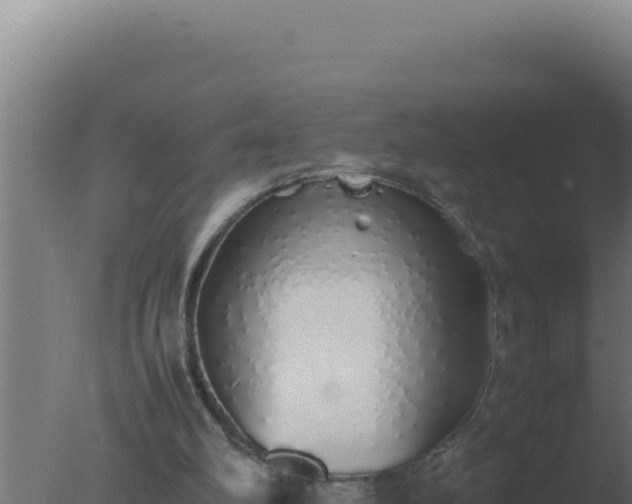 X0000077380102200610271956