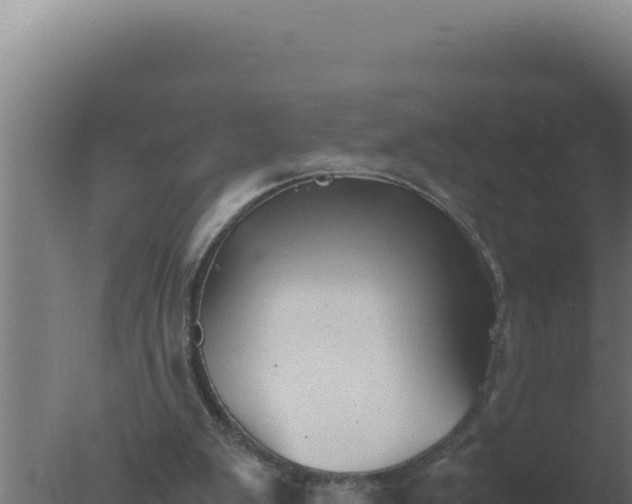 X0000077380103200610271956