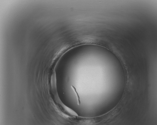 X0000077380106200610271956